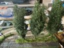 IMG_9576.jpeg